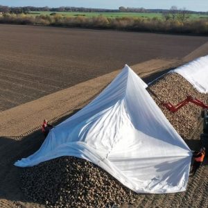 Toptex Beet Covers – Breathable Frost & Weather Protection for Beetroot & Sugar Beet