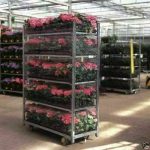 Flower Trolley Wrapped in Ventilated Wrap Flower Trolley Wrapped in Ventilated Wrap